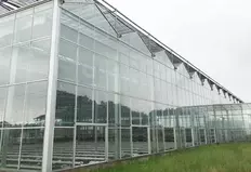 VENLO teknolojisine dayalı seralar