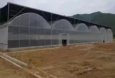 Tarımsal/ticari amaçlı 10.000 m2 Sera