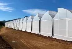 Hidroponik Çok Açıklıklı Sera