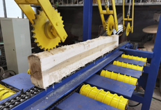 Kütükler için testere makinası SLS 300/500